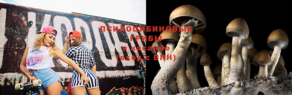ПСИЛОЦИБИНОВЫЕ ГРИБЫ Алексеевка