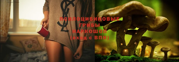 ПСИЛОЦИБИНОВЫЕ ГРИБЫ Алексеевка