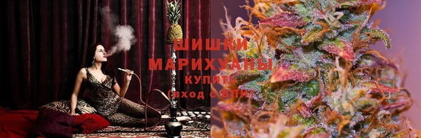 ПСИЛОЦИБИНОВЫЕ ГРИБЫ Алексеевка