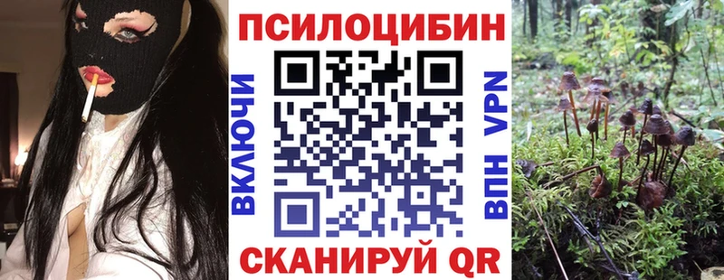 Галлюциногенные грибы ЛСД  Новопавловск 